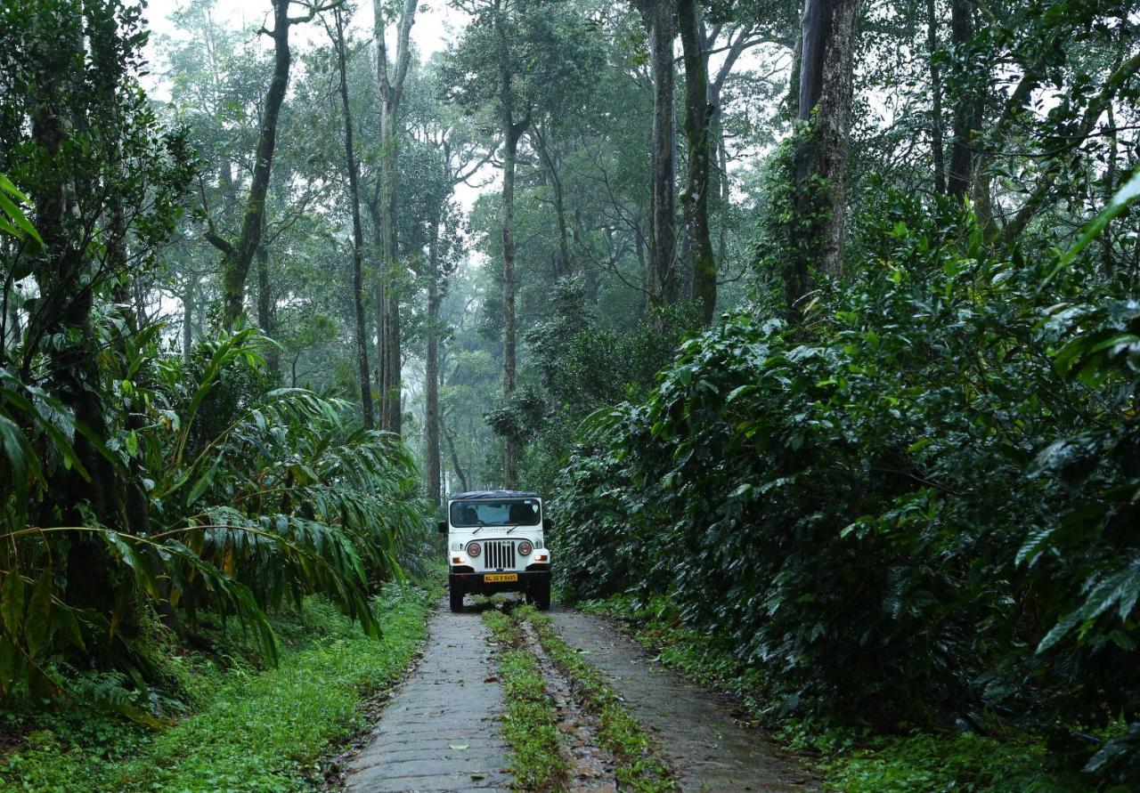 Dew Drops Farm Resorts Munnar Exterior photo