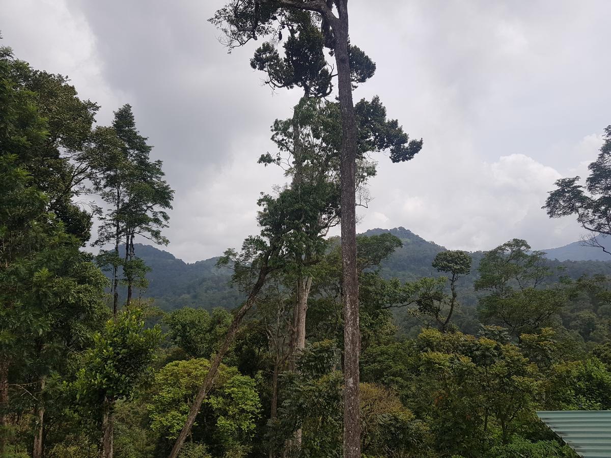 Dew Drops Farm Resorts Munnar Exterior photo